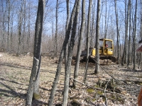 CabinFever 057